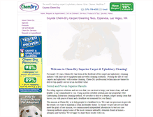 Tablet Screenshot of coyotechemdry.com